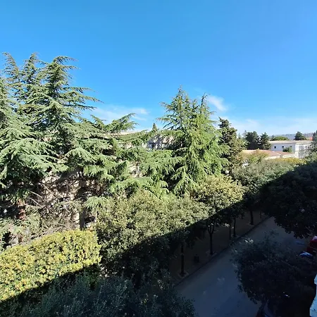 Amorentia * Ζαντάρ